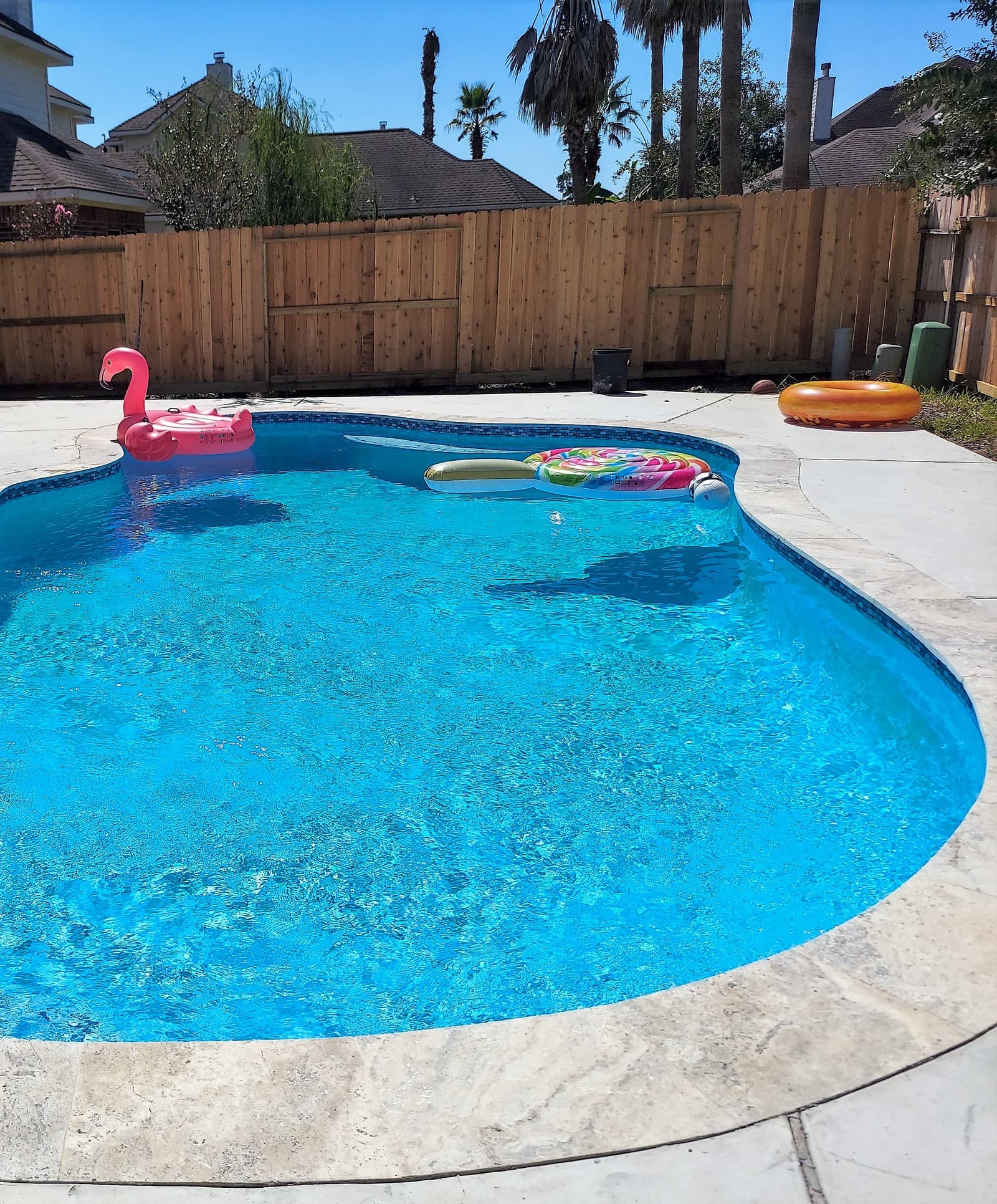 Custom pool in Tomball, TX. A freeform pool in pale plaster with a pink flamingo float and two ring floats on the water, a new cedar fence and palms behind.